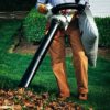 Leaf Blower/Vac: Stihl